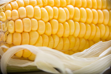 Fresh corn on cobs, closeup