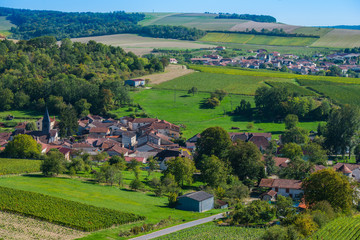 Colombe la Fosse, Champagne vineyards in the Cote des Bar area of the Aube department
