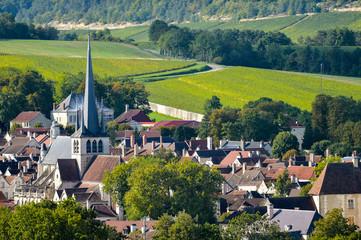Champagne vineyards in the Cote des Bar area of the Aube department Les Riceys