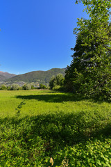 Prato verde con alberi e cielo azzurro