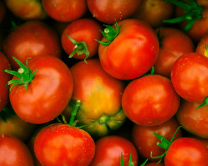 red tomatoes background

