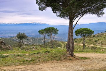 Fototapeta na wymiar Serra de l Albera - Serra de l Albera in northern Spain