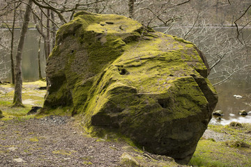Mossed boulder