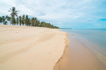Beautiful beach sea summer