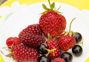 Obraz premium Fresh summer berries on the plate in the garden