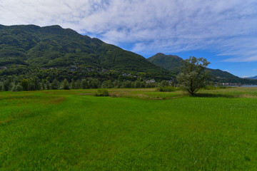 Obraz premium Prato di campagna con cielo blu