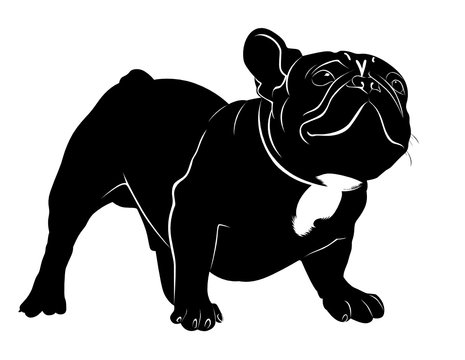 3,413 BEST French Bulldog Silhouette IMAGES, STOCK PHOTOS & VECTORS ...