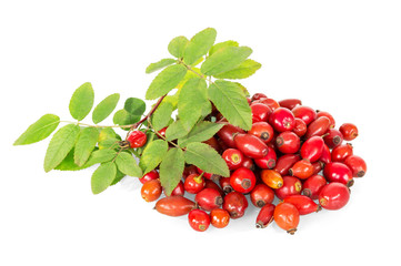 Fresh rose hips with green leaves isolated on white.