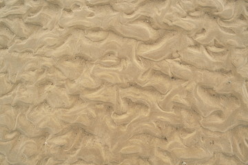 Detail of sandy beach as abstract background