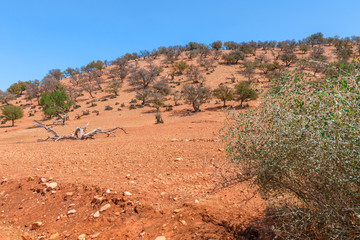 Landscape in North Africa