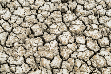 Dürre Klimawandel