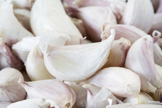 Group of garlic with selective focus.