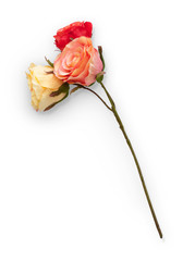 Three Roses With Clipping Path