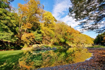 秋の渓谷
