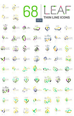 Obraz premium Thin line leaf geometric icons