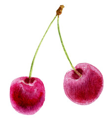 hand painted watercolor mockup clipart template of cherry