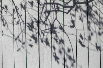 fence on the white background