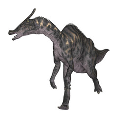 3D Rendering Dinosaur Saurolophus on White