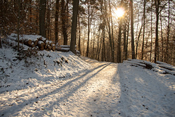 Tiefstehende Sonne scheint auf verschneiten Waldweg