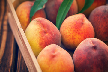 Fresh peaches in a wooden basket 