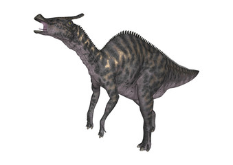 Obraz na płótnie Canvas 3D Rendering Dinosaur Saurolophus on White