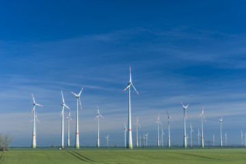 Windpark auf  Getreideacker im Frühjahr