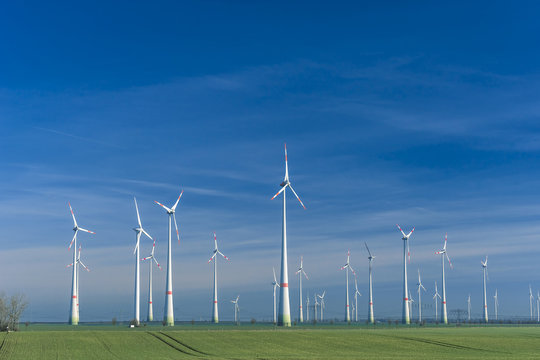 Windpark auf  Getreideacker im Fr&uuml;hjahr