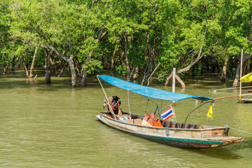 Naklejka na ściany i meble Vintage tourist long-tailed boats for tourists nearby mangrove trees forest at Don Hoi Lot. They are in Samut Songkhram Province, Thailand.