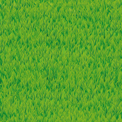 Green grass seamless pattern