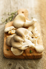Oyster mushrooms