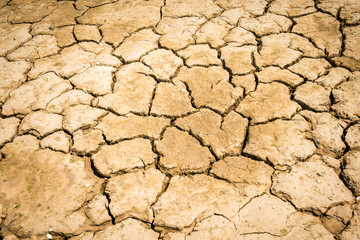 cracked soil in the bottom of a river showing drought