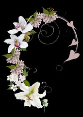 light orchid and lily curled design isolated on black