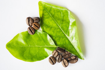 Fresh coffee beans, selective focus