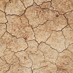 texture of cracked earth