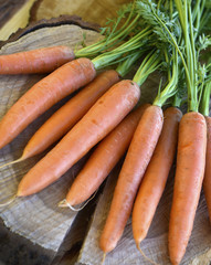 Fresh carrots bunch on rustic wooden background