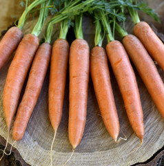 Fresh carrots bunch on rustic wooden background