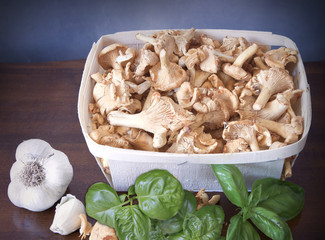 Fresh chanterelles with garlic and basil