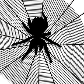 spider web texture background