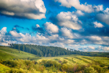 Fototapeta premium power line against the sky 