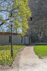 Medieval Lantern In Tallinn City