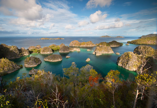 Pianemo ;acluster of small coral islands surrounded by clear water and its hills covered by green vegetation ; Raja Ampat , Indonesia