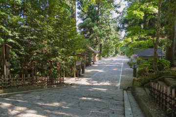 大崎八幡宮の境内風景