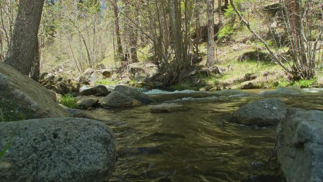 Cave Creek Trail Pecos Wilderness New Mexico stream