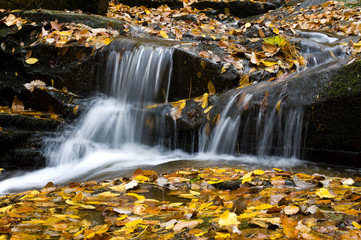 A small waterfall surrounded by bright fall colors.