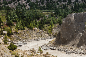 River with the rock mountain and forrest in Annapurna area, Nepa
