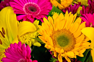 Fototapeta na wymiar Yellow Sunflower with Magenta Asters in a Mixed Bouquet