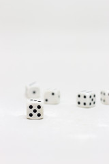 Dice on white background