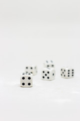 Dice on white background