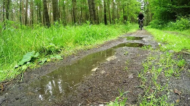 Biker on bicycle riding on muddy forest track. Closeup of wheels and mud splash from action camera. Outdoor sport. Hiking and tourism in National park Sumava. Czech Republic, European Union.