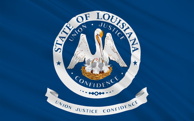 Flag of Louisiana, USA